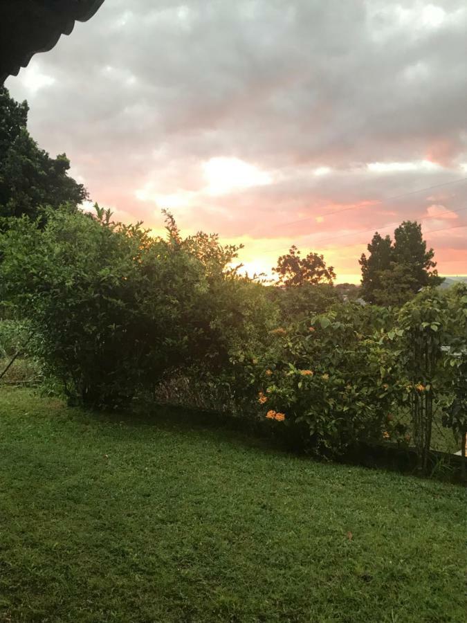 Charmant Bungalow Au Coeur De L'Ile 拜马欧 外观 照片